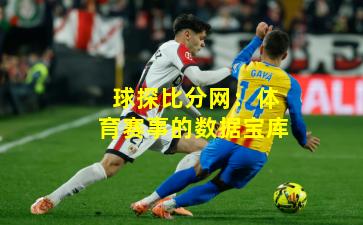 球探比分网:体育赛事的数据宝库