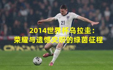 2014世界杯乌拉圭：荣耀与遗憾交织的绿茵征程