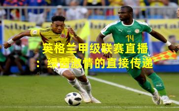 英格兰甲级联赛直播：绿茵激情的直接传递